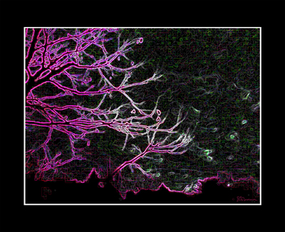 glowing tree, tree, digital, art, nature, photo, suzanne, coleman, artofageniusmind, black, pink, fuchsia, dream, imagine, imaginary, universe, stars, sky, space, reaching, dreaming