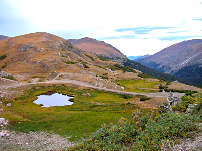 reflection, rocky, rockies, mountain, national, park, mountain top, view, rolling, hills, dusk, lake, pond, water, sky, wetland, melt, plant, color, scrub, tundra, art, photo, photography, suzanne, coleman, artofageniusmind