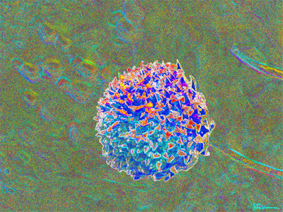 prepropagation, suzanne, coleman, nature, artofageniusmind, illinois, prairie, seed, ball, photography, digital, art