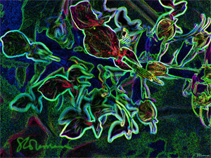 carving, survival, room, photo, art, digital, nature, illinois, woods, forest, flower, plant, suzanne, coleman, artofageniusmind, green, imagination, creative, dream, fantasy, expressionist, 