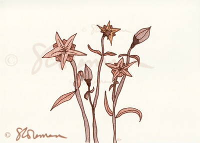 brown, flowers, unique, original, drawing, art, paper, shape, shades, flowing, movement, suzanne, coleman, artofageniusmind, signed