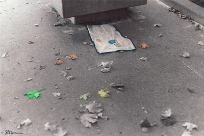 Time time, photo, art, black and white, artofageniusmind, suzanne, coleman, leaves, dry, autumn, fall, cement, newspaper, paper, news, color, colored, colorized, bench, U of I, Urbana, Champaign, Illinois,