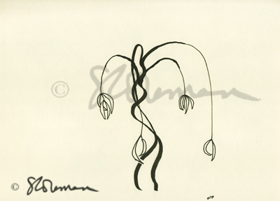 hanging, vine, pods, hang, dangle, nature, illinois, plant, seed, seed pod, drawing, art, original, unique, paper, sketch, suzanne, coleman, artofageniusmind