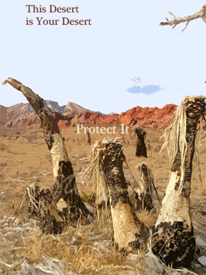 desert, your, this, poster, graphic, art, design, image, nevada, photo, dry, plants, mountain, red, rock, red rock, park, preserve, conserve, dead, burned, text, protect, it, suzanne, coleman, artofageniusmind, palms, signed